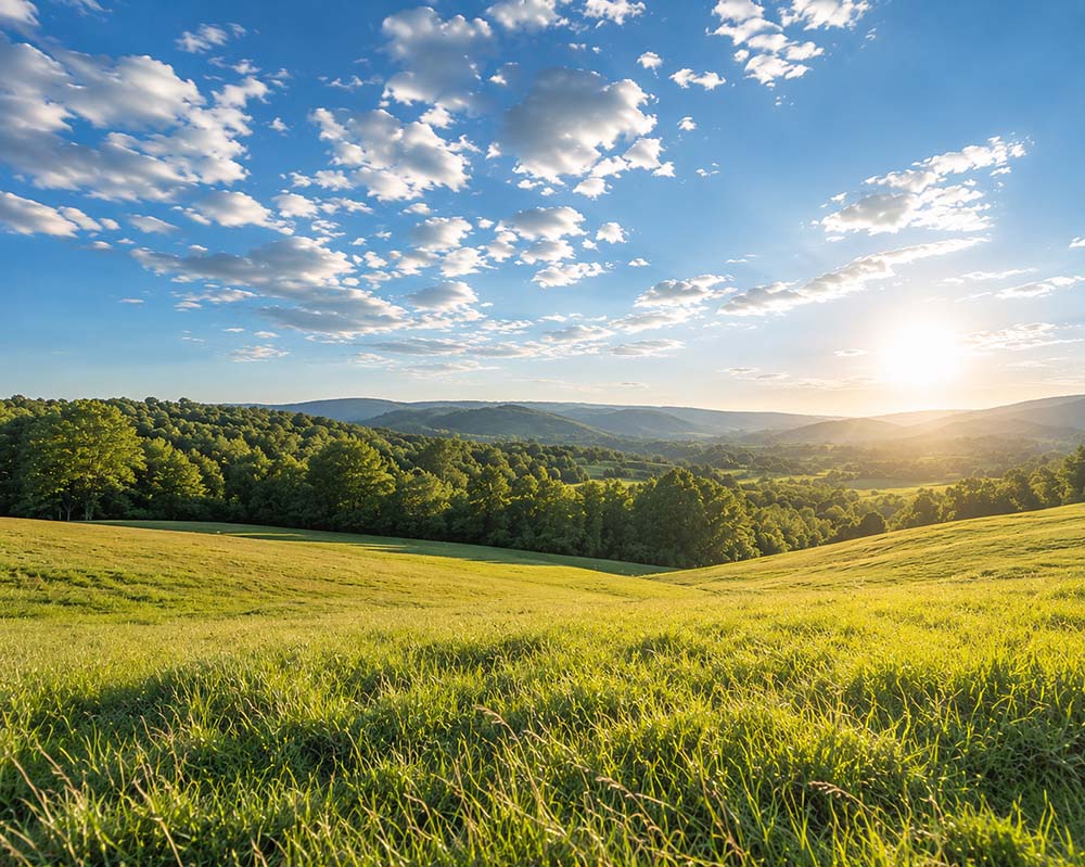 Green field image